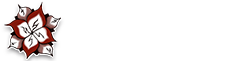 Nikkis Lessons Logo
